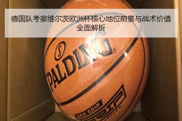 德国队考察维尔茨欧洲杯核心地位前景与战术价值全面解析